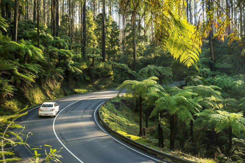 Lithgow Falls Marysville Luaran gambar